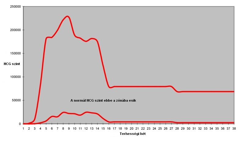 Terhességi teszt hCG szint változása