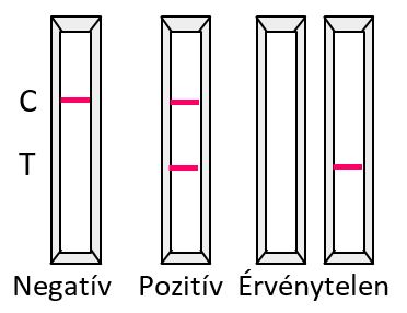 pozitív terhességi teszt mégsem terres agricoles