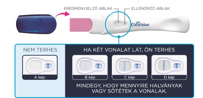 Clearblue korai terhességi teszt